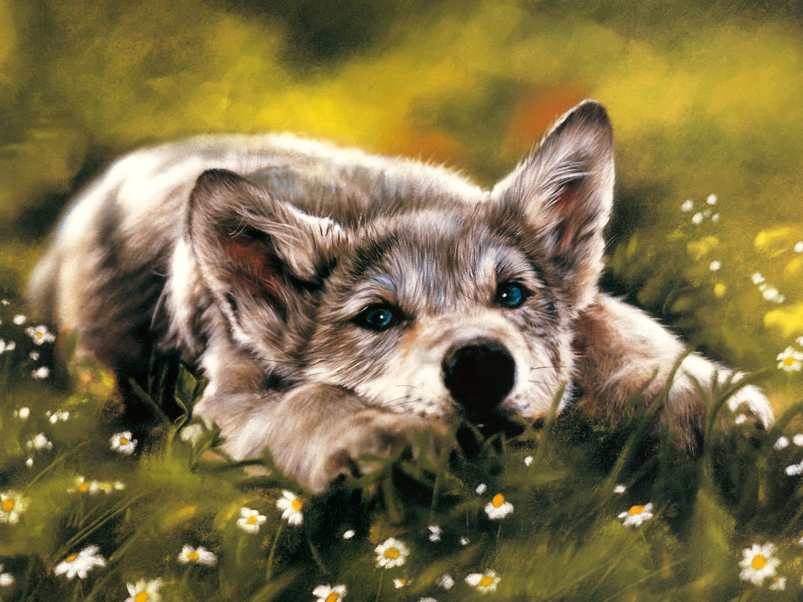 Арт рисунки волчонок
